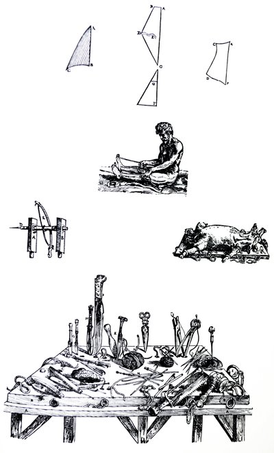 Platene fra den andre boken til De Humani Corporis Fabrica av Andreas Vesalius