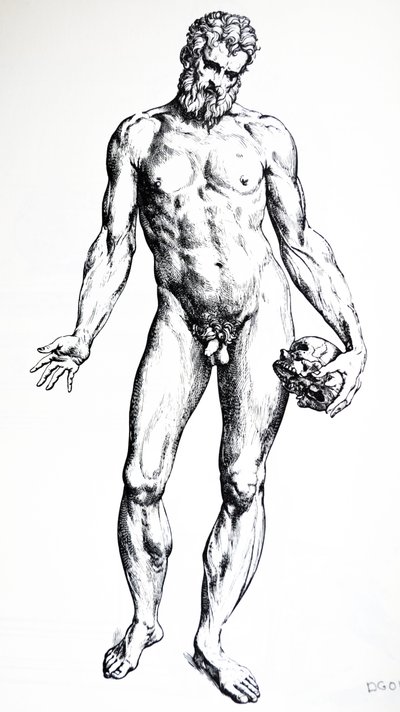 Platene fra den syvende boken til De Humani Corporis Fabrica av Andreas Vesalius