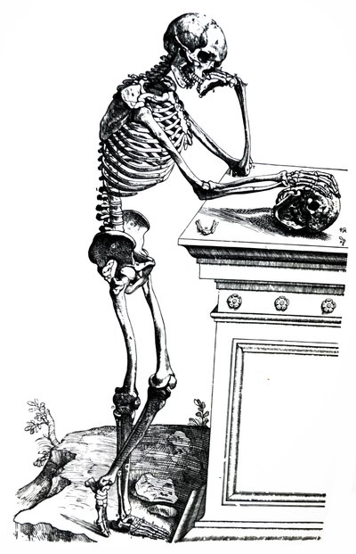 Platene fra den syvende boken til De Humani Corporis Fabrica av Andreas Vesalius