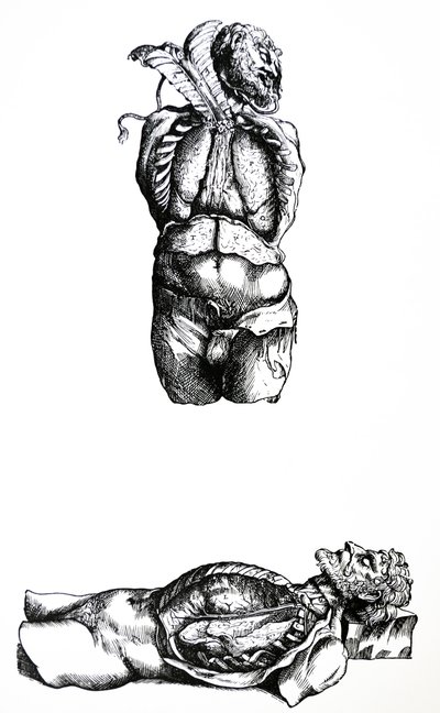 Platene fra den sjette boken til De Humani Corporis Fabrica av Andreas Vesalius