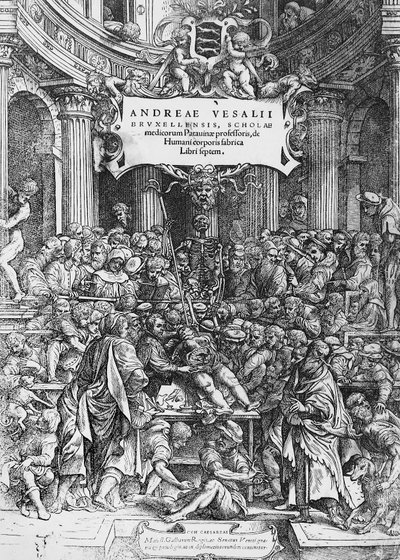 Tittelside til De humani corporis fabrica (latin for På stoff av menneskekroppen), der Andreas Vesalius er avbildet som dissekerer kadaver av Andreas Vesalius