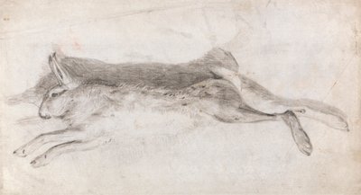 Død hare av Andrew Geddes