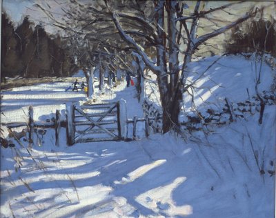 Gate nær Youlgreave, Derbyshire av Andrew Macara