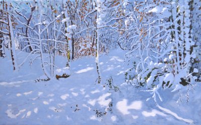 November Snow, Allestree Woods, Derby, (olje på lerret) av Andrew Macara