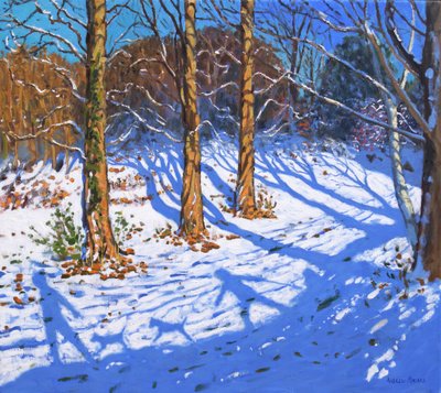 November snø, Allestree Park, Derby, 2017, av Andrew Macara