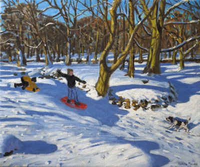 Red sledge, Lomberdale Hall, Derbyshire, 2014, av Andrew Macara