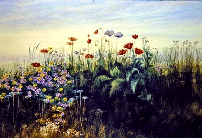 Ville blomster (akvarell på papir) av Andrew Nicholl