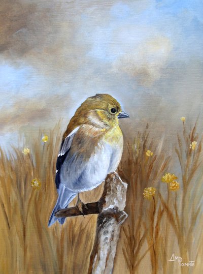  av Angeles M. Pomata