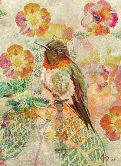 Kolibri og blomster av Angeles M. Pomata