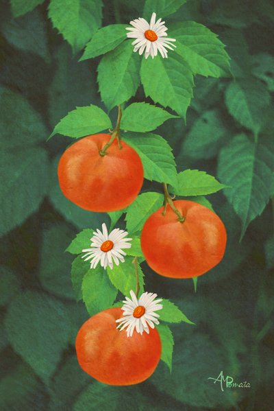 av Angeles M. Pomata