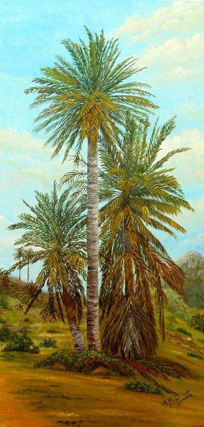  av Angeles M. Pomata