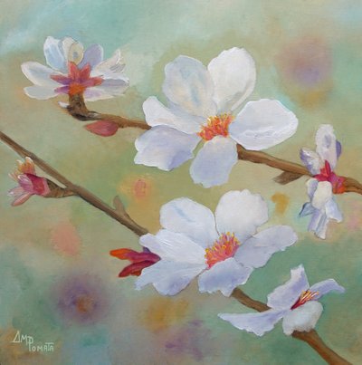 Hvite mandelblomster av Angeles M. Pomata
