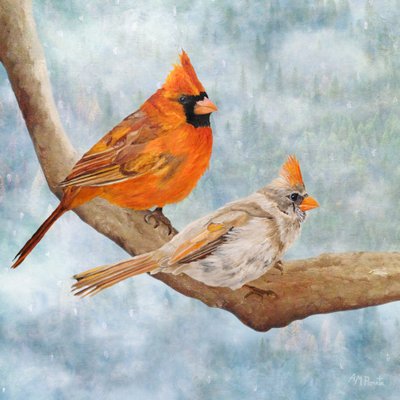 Et par vinterkardinaler av Angeles M. Pomata