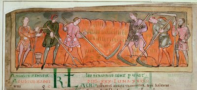 Cott Tib B V f.6v Harvesting, from a Calendar, c.1030 (vellum) (detalj av 41681) av Anglo Saxon