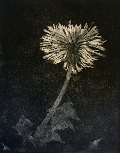 Hope, 2019 (etsing og akvatint på papir) av angus hampel