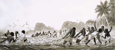  av Angus McBride