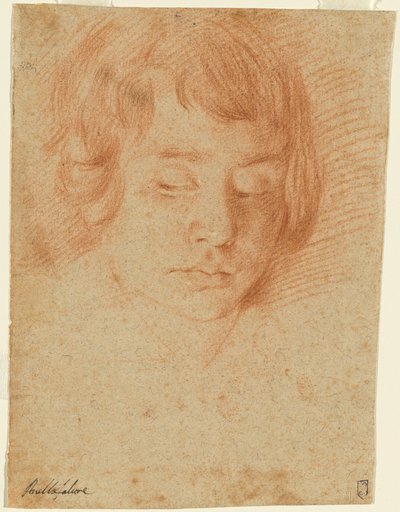 Head of a Boy (Gennaro Falcone?) av Aniello Falcone