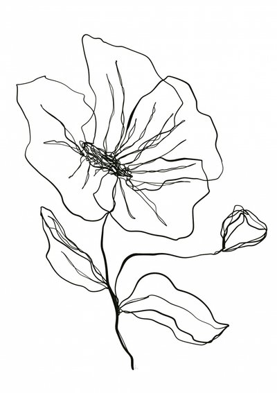 Delikat blomsterskisse av Ankie Kooi