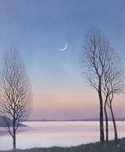 Dusk at Draycote, 2008 av Anna Phillips