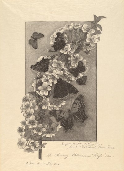 The Cherry Blossoms - High Tea av Anna Botsford Comstock