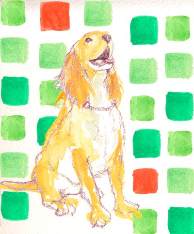 Hund av Anna Platts