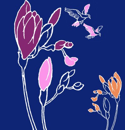 Freesia av Anna Platts