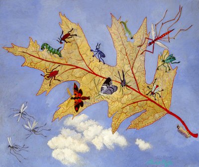 Høstblad, 2009 (akryl) av Anna Pugh