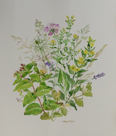 Blomsterstilleben 4, 2021 (maleri) av Anna Pugh