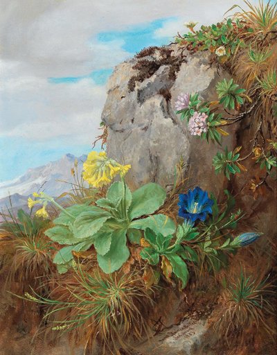  av Anna Stainer Knittel