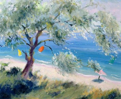 Ser på en strand av Anne Durham