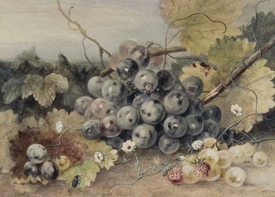 Druer og jordbær av Anne Frances Byrne