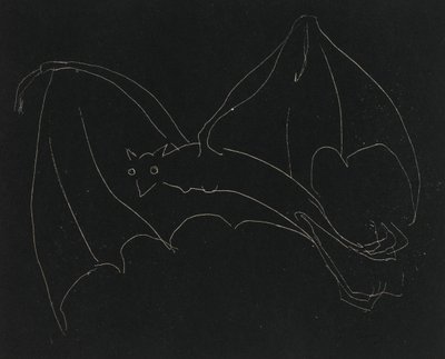 Night Series: The Bat (etsing, hvit linje på vevd papir) av Anne Goldthwaite