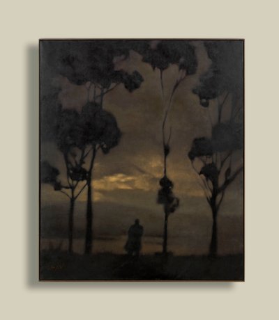  av Anne Magill