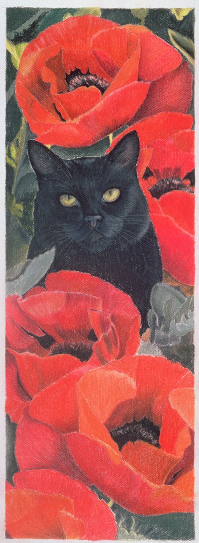 Svart katt med valmuer av Anne Robinson