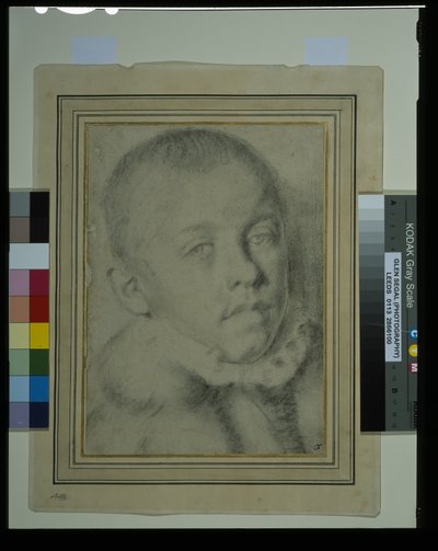Portrett-hode av en ung gutt (svart kritt og kull på papir) av Annibale (follower of) Carracci