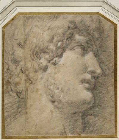 Leder for keiser Gallienus (eller? Hadrian), etter det antikke (svart kritt på krempapir) av Annibale Carracci