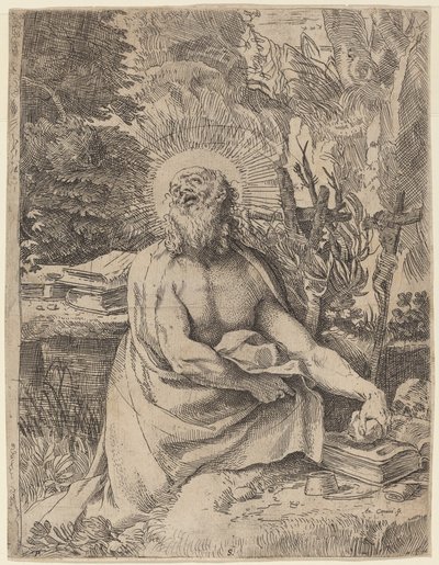 Saint Hieronymus i villmarken av Annibale Carracci