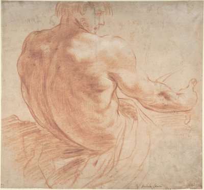 Sittende ung mann vendt mot høyre, sett bakfra av Annibale Carracci
