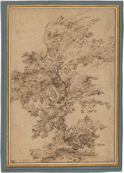 Studie eines Baumes av Annibale Carracci