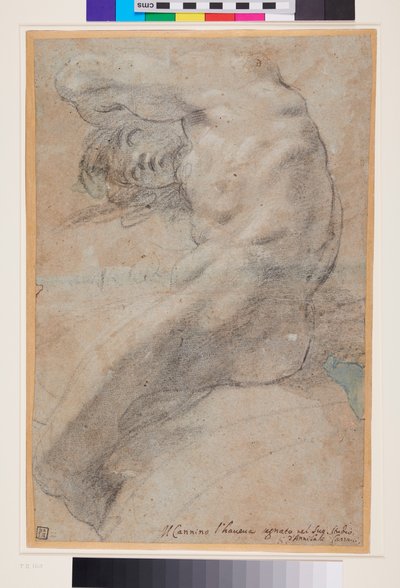 Studie av en naken mann, ca. 1560–1609 (svart-hvitt kritt på blågrått papir) av Annibale Carracci