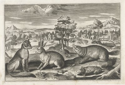 skogdyr Firebeinte dyr (serietittel) Animalivm Qvaddrvpedvm (serietittel) av Anonymous
