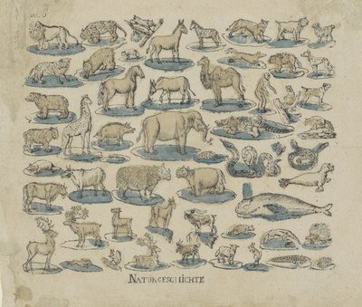 tjenere Natural History (tittel på objekt) av Anonymous