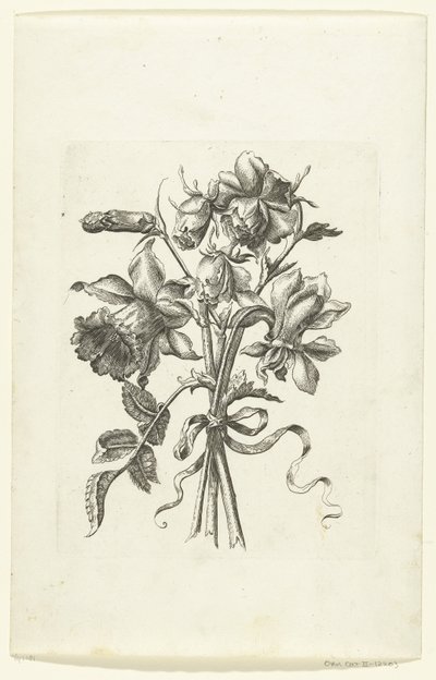 Tre blomster, inkludert en påskelilje og en nellik Novae Florum Icones (serietittel) av Anonymous