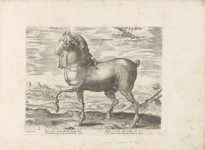 Duits paard Tysk hest (tittel på objekt) Paardenrassen uit de Koninklijke stallen van Don Juan van Oostenrijk (serietittel) Hesten, der alle slags adelsmenn: oppførselen til hester skilt fra forskjellige deler av verden valgt (...) (serietittel på ob av Anonymous