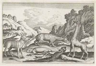 eksotiske dyr Firebeinte dyr (serietittel) Animalivm Qvaddrvpedvm (serietittel) av Anonymous