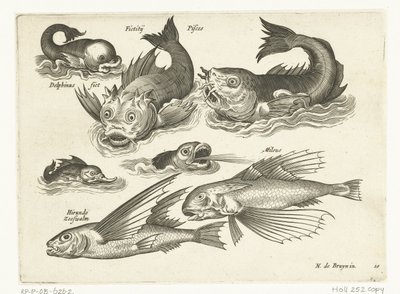 Fantastiske vannlevende dyr, inkludert delfiner og spermhval Libelivs diverse Genera piscium complectens (serietittel) Ferskvannsfisk, marin fisk, frosker, krepsdyr og sjødyr (serietittel) av Anonymous