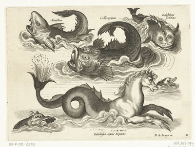 Fantastiske vannlevende dyr, inkludert sjøhest Libelivs diverse Genera piscium complectens (serietittel) Ferskvannsfisk, marin fisk, frosker, krepsdyr og sjødyr (serietittel) av Anonymous