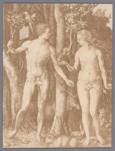 Fotoreproduksjon av graveringen Adam og Eva av Albrecht Dürer av Anonymous