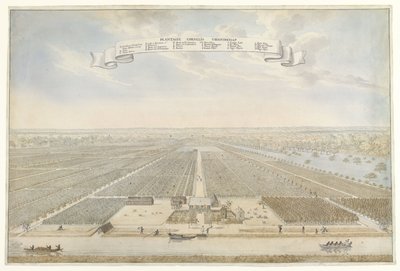 Utsikt over Cornelis Vriendschap-plantasjen i Surinam Plantation Cornelis Friendship (tittel på objekt) av Anonymous
