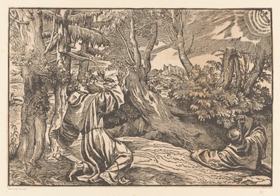 Saint Francis mottar stigmata av Anonymous
